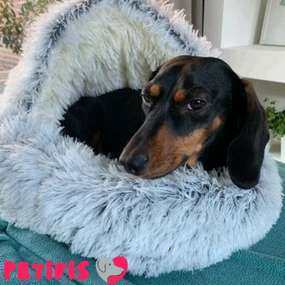 COZY DOG™ Le refuge anti-stress