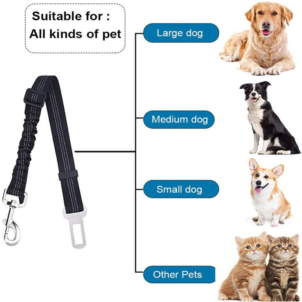 Ceinture de sécurité pour animaux - petifis