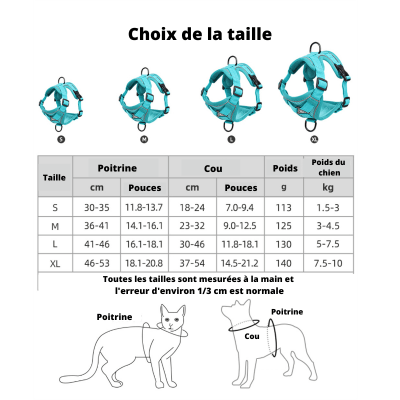 Ensemble harnais + laisse confortable - petifis