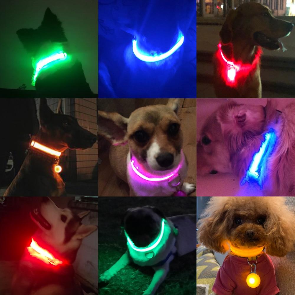 LedCollar™ - Collier à LED rechargeable pour chien - petifis