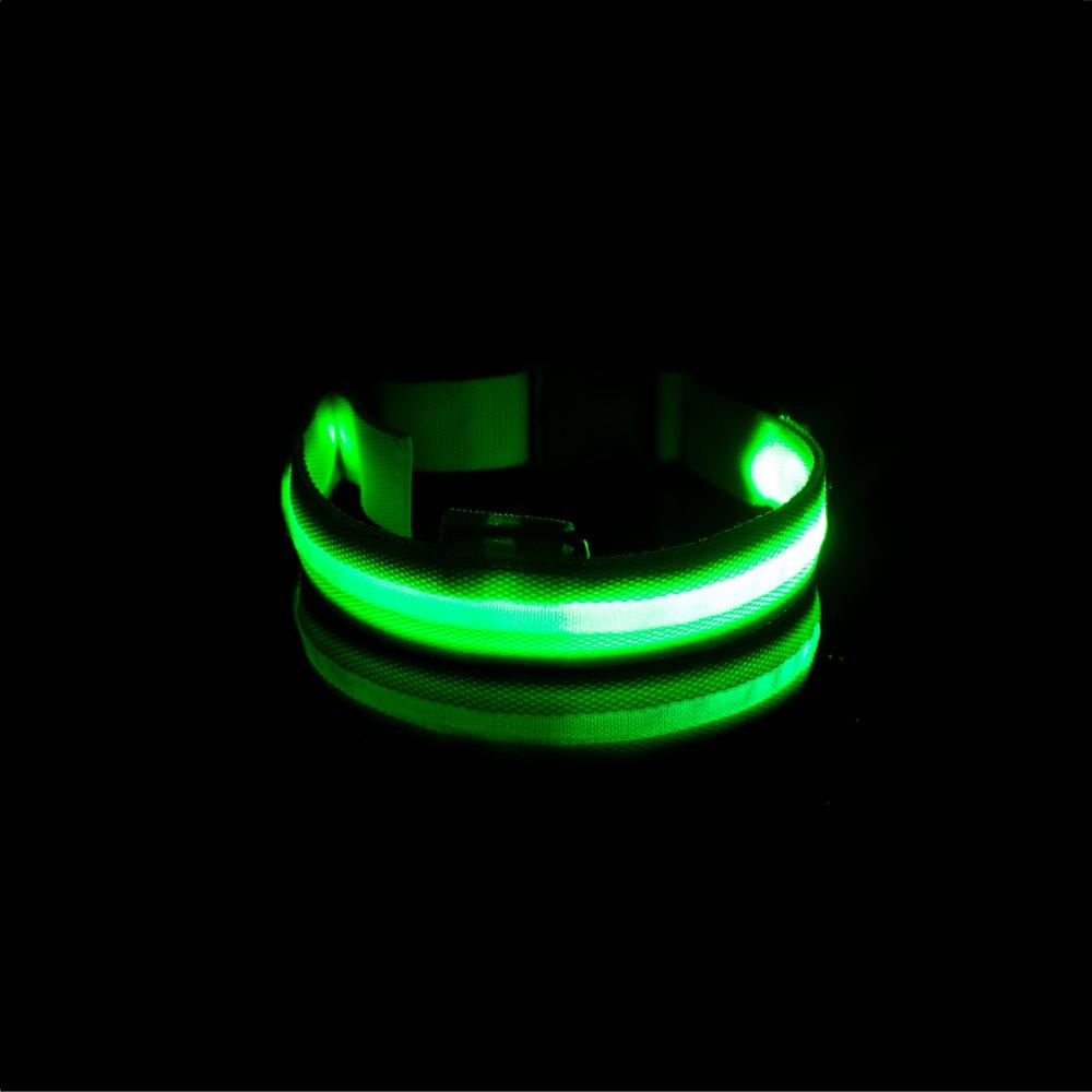 LedCollar™ - Collier à LED rechargeable pour chien - petifis