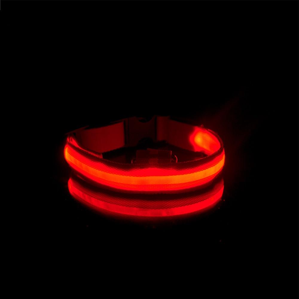 LedCollar™ - Collier à LED rechargeable pour chien - petifis